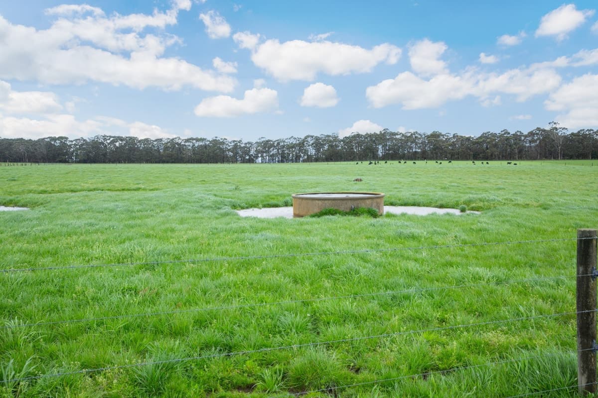 750 Colac-Lavers Hill Road, Barongarook West, VIC, Barongarook West - Thumbnail 5
