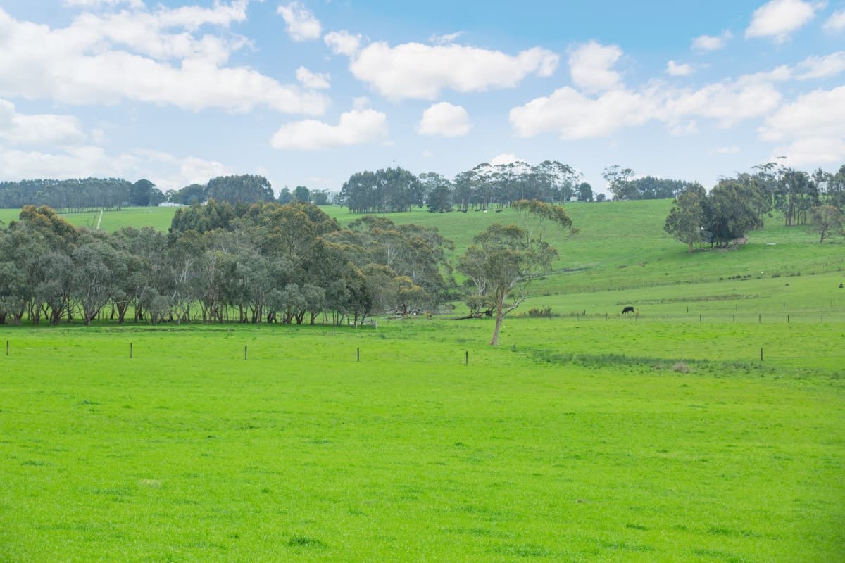 750 Colac-Lavers Hill Road, Barongarook West, VIC, Barongarook West - Thumbnail 7