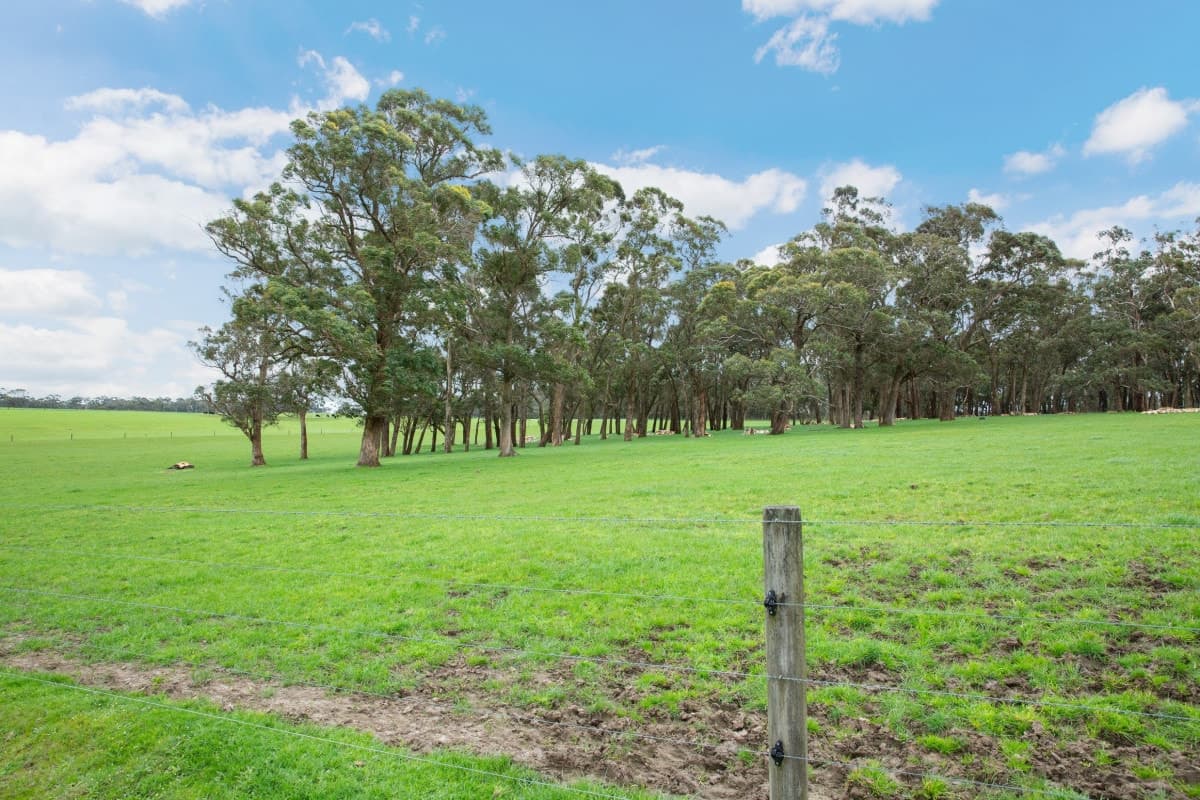 750 Colac-Lavers Hill Road, Barongarook West, VIC, Barongarook West - Thumbnail 8