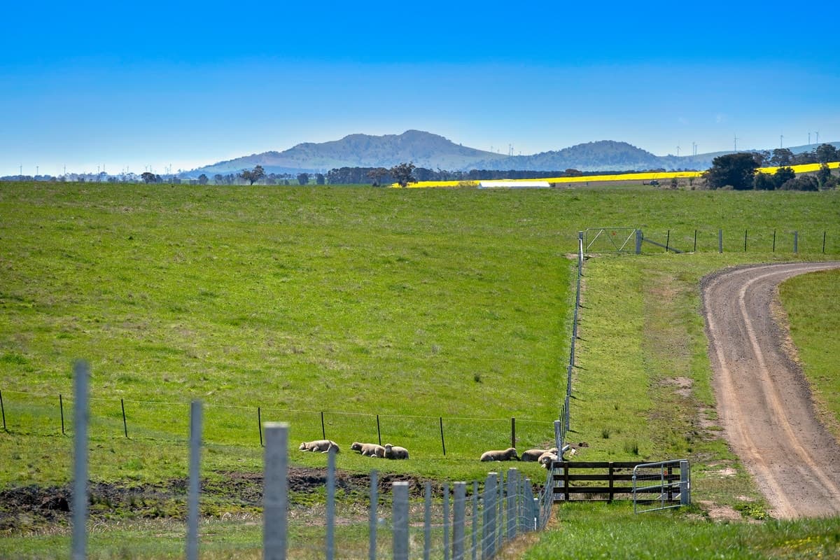 Carngham - Linton Road, Carngham, VIC, Carngham - Thumbnail 6