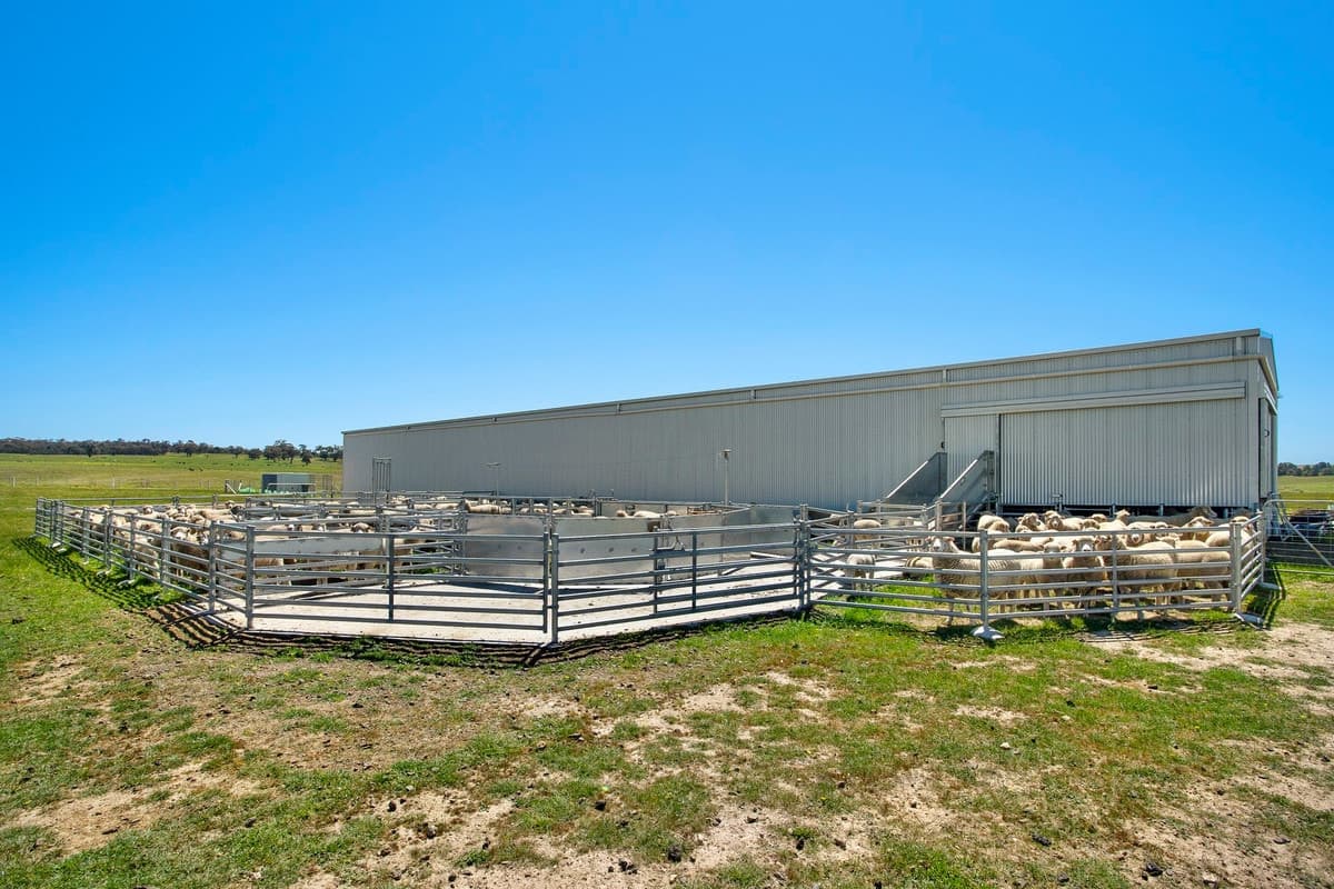 Carngham - Linton Road, Carngham, VIC, Carngham - Thumbnail 8
