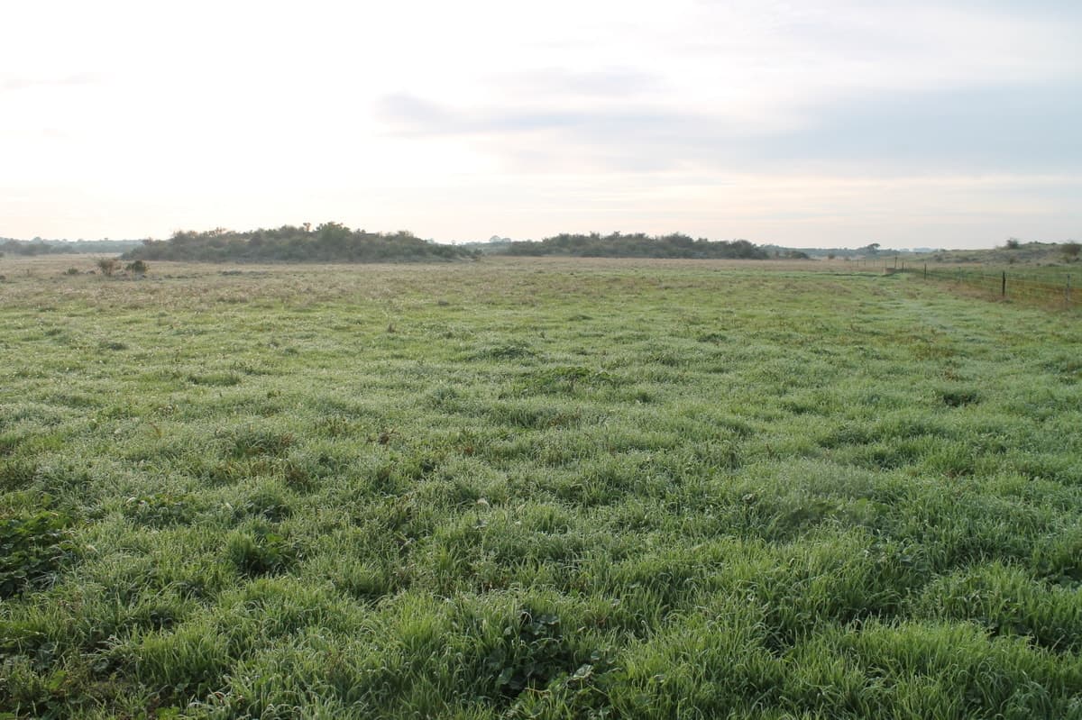2160 Corangamite Lake Road, Dreeite, VIC, Dreeite - Thumbnail 2