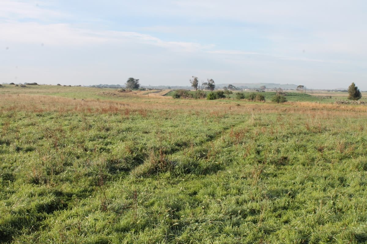 2160 Corangamite Lake Road, Dreeite, VIC, Dreeite - Thumbnail 3