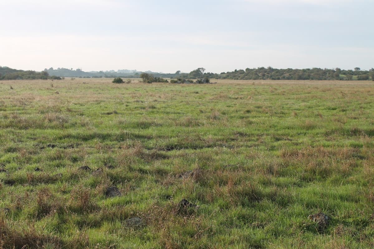 2160 Corangamite Lake Road, Dreeite, VIC, Dreeite - Thumbnail 7