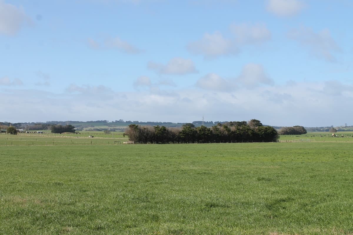 1195 Larpent Road, Larpent, VIC, Larpent - Thumbnail 2