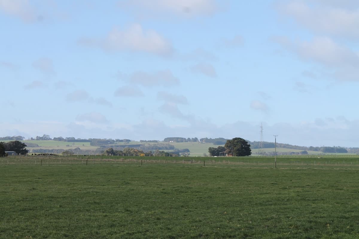 1195 Larpent Road, Larpent, VIC, Larpent - Thumbnail 3