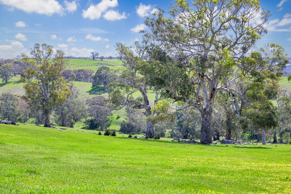 4970 Coleraine Edenhope Road, Harrow, VIC, Harrow - Image 1