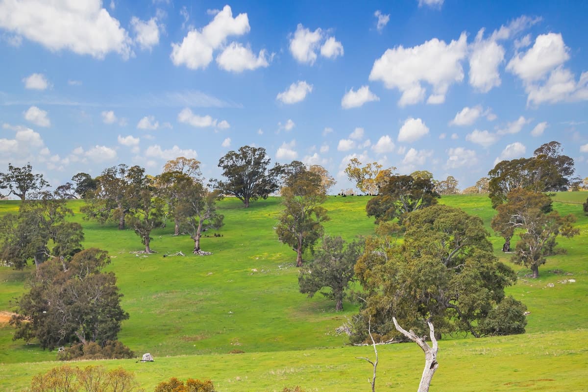 4970 Coleraine Edenhope Road, Harrow, VIC, Harrow - Thumbnail 3