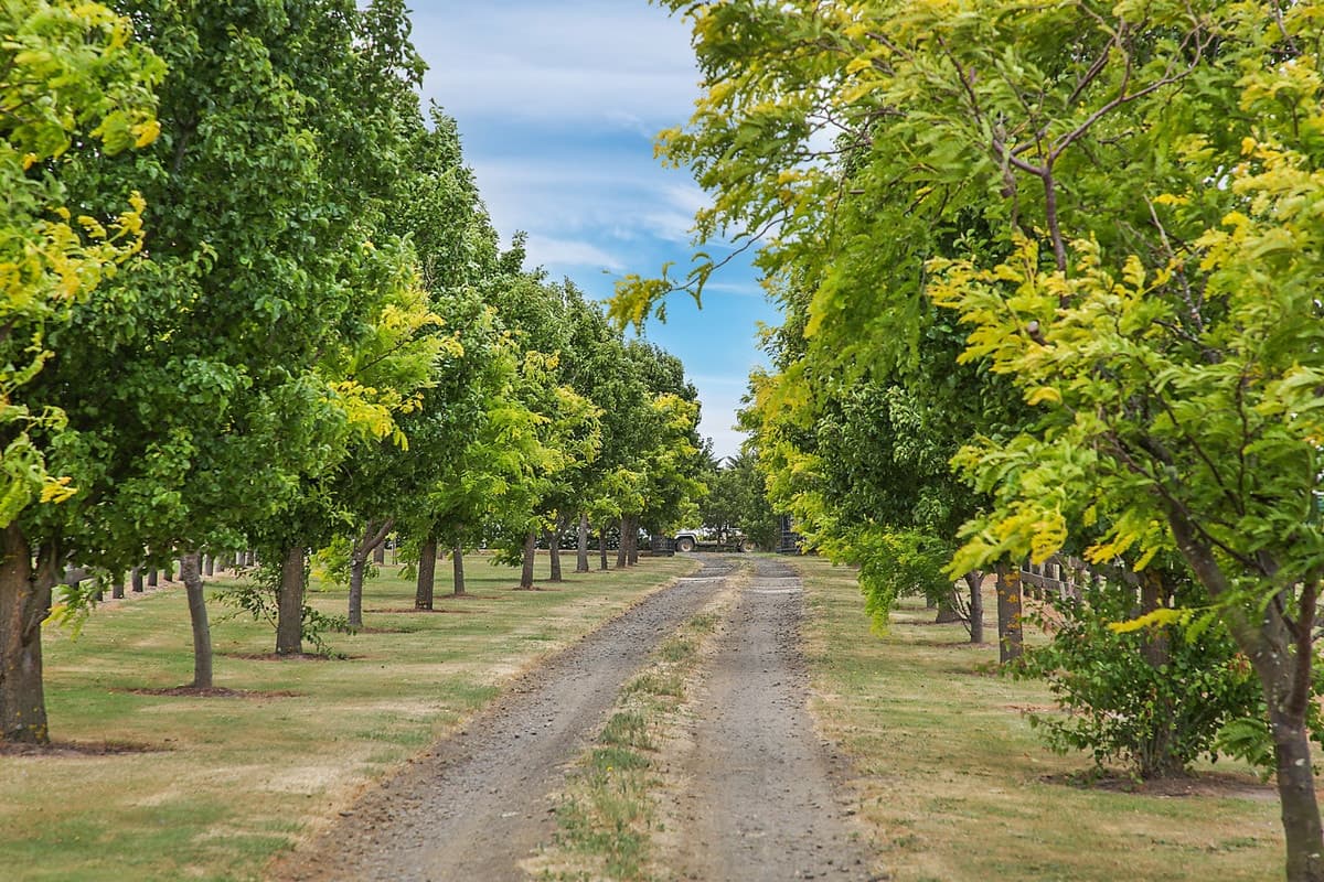 105 Powers Lane, Birregurra, VIC, Birregurra - Image 1