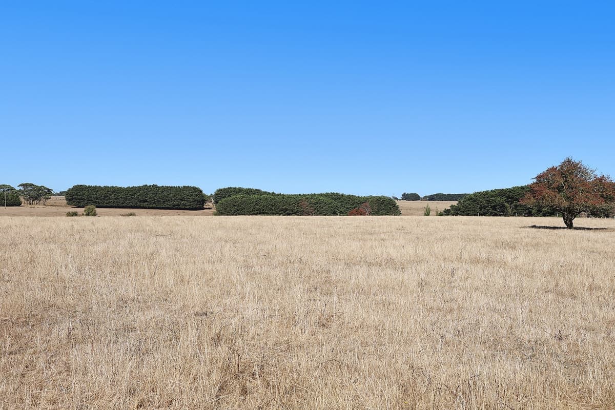 8012 Princes Highway, Garvoc, VIC, Garvoc - Thumbnail 4