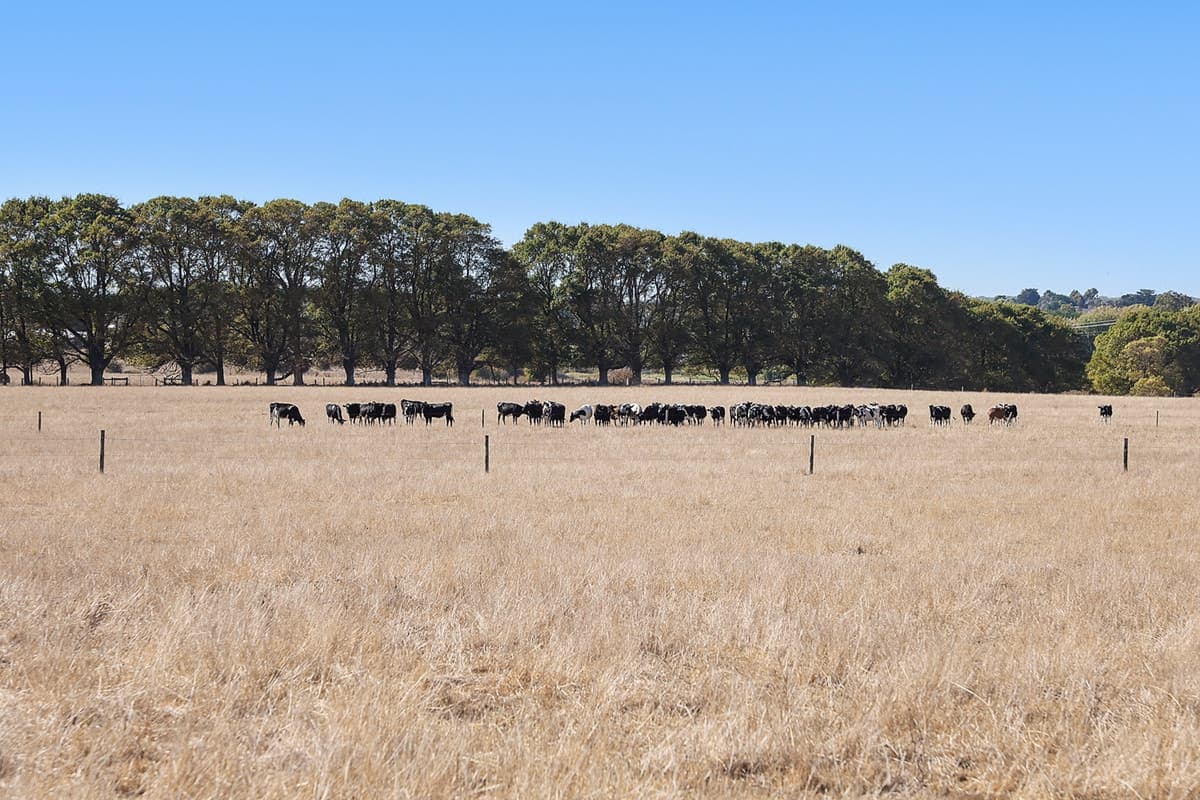 8012 Princes Highway, Garvoc, VIC, Garvoc - Thumbnail 5