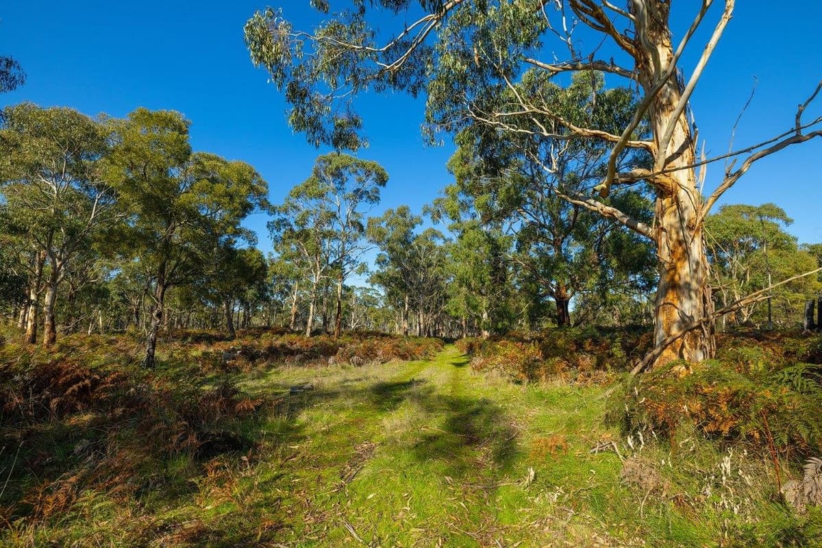 Lake Gorrie Road, Macarthur, VIC, Macarthur - Image 1
