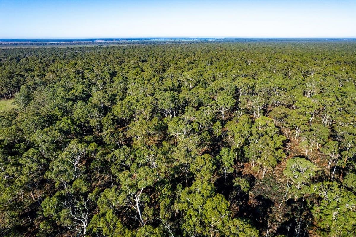 Lake Gorrie Road, Macarthur, VIC, Macarthur - Thumbnail 4