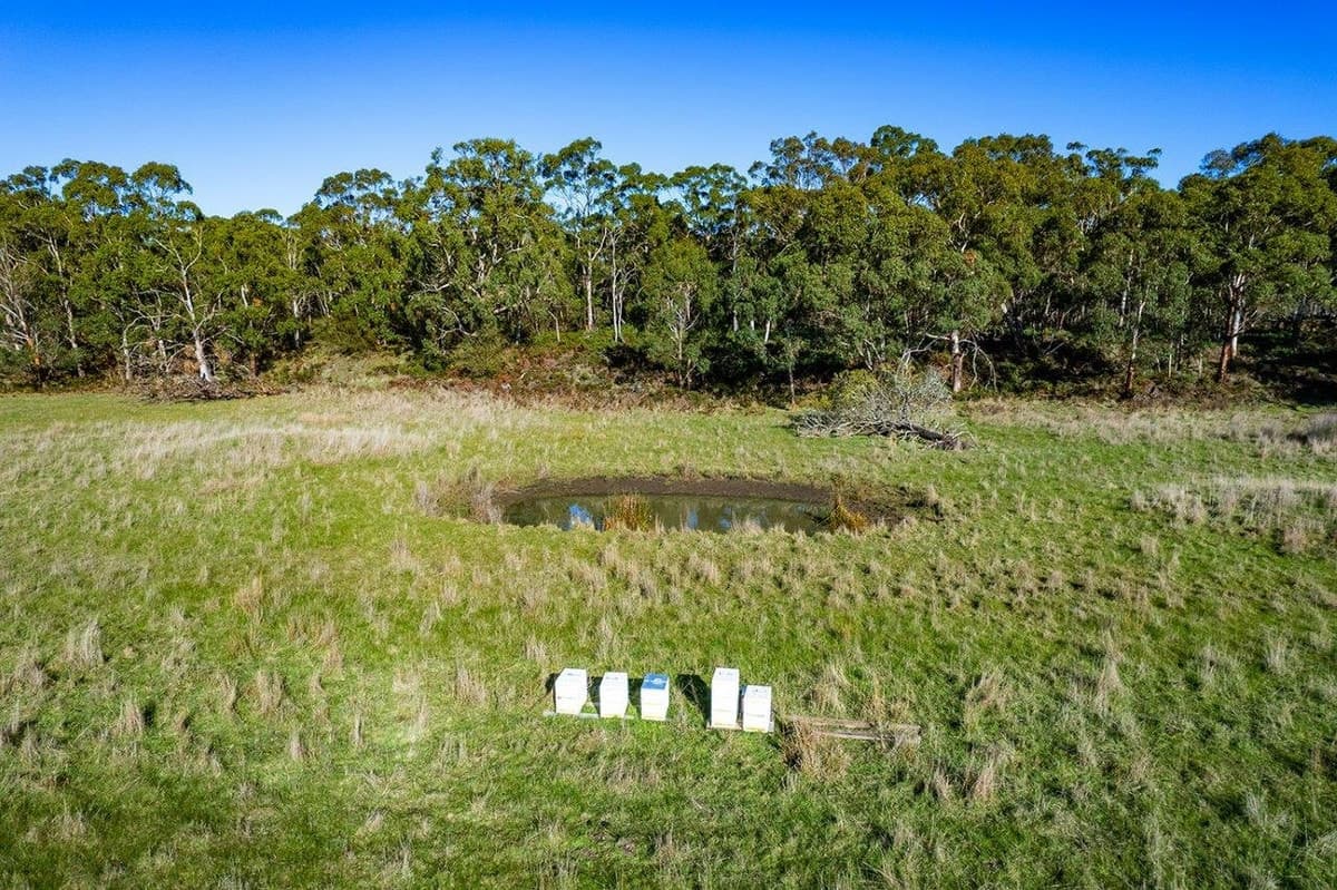 Lake Gorrie Road, Macarthur, VIC, Macarthur - Thumbnail 7