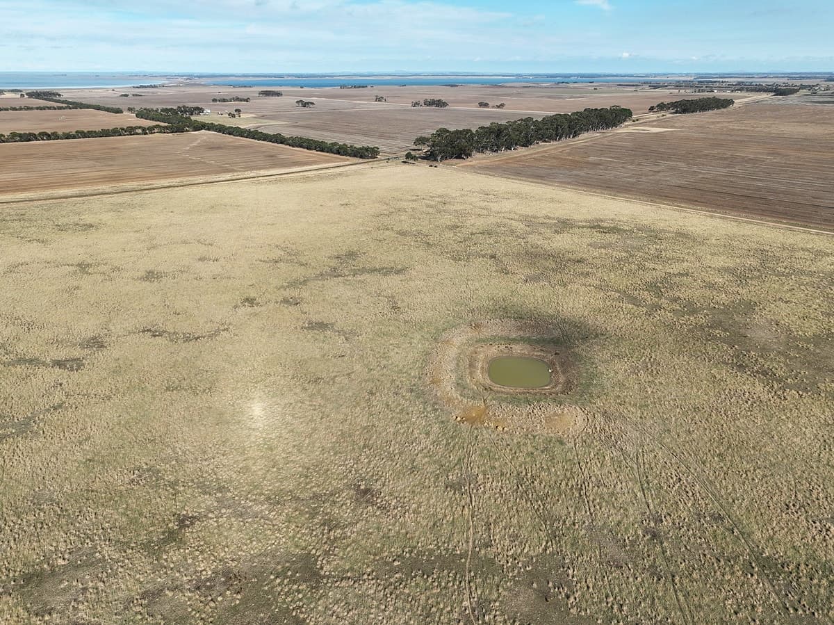 Collins Lane, Berrybank, VIC, Berrybank - Thumbnail 2