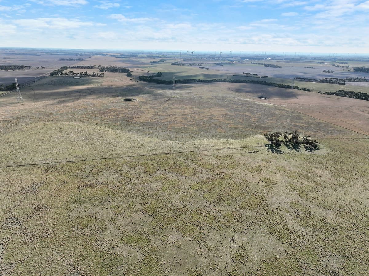 Collins Lane, Berrybank, VIC, Berrybank - Thumbnail 3