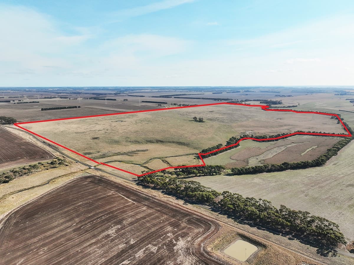 Collins Lane, Berrybank, VIC, Berrybank - Thumbnail 4