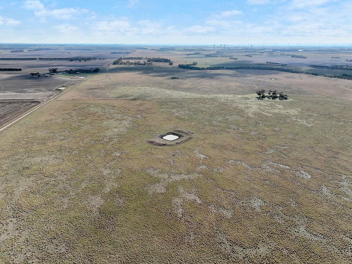 Collins Lane, Berrybank, VIC, Berrybank - Thumbnail 8