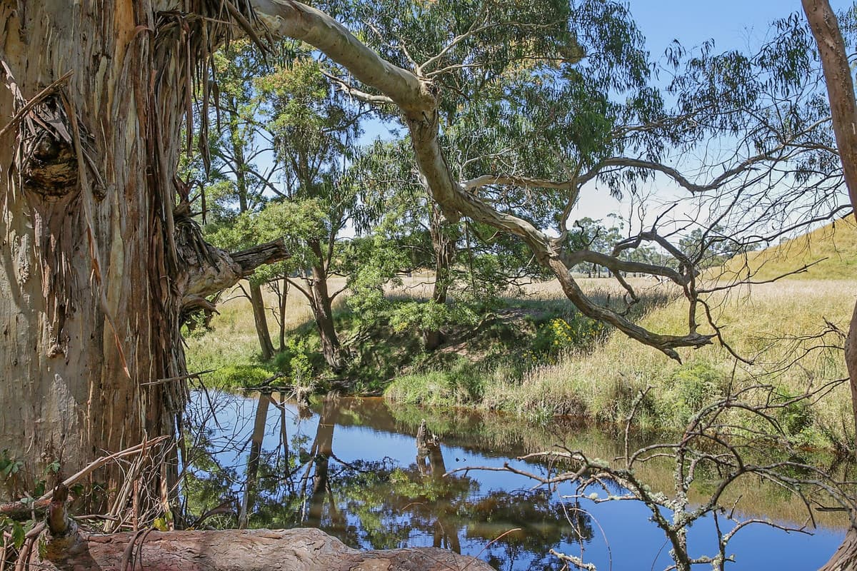 2700 Great Ocean Road, Hordern Vale, VIC, Hordern Vale - Thumbnail 4