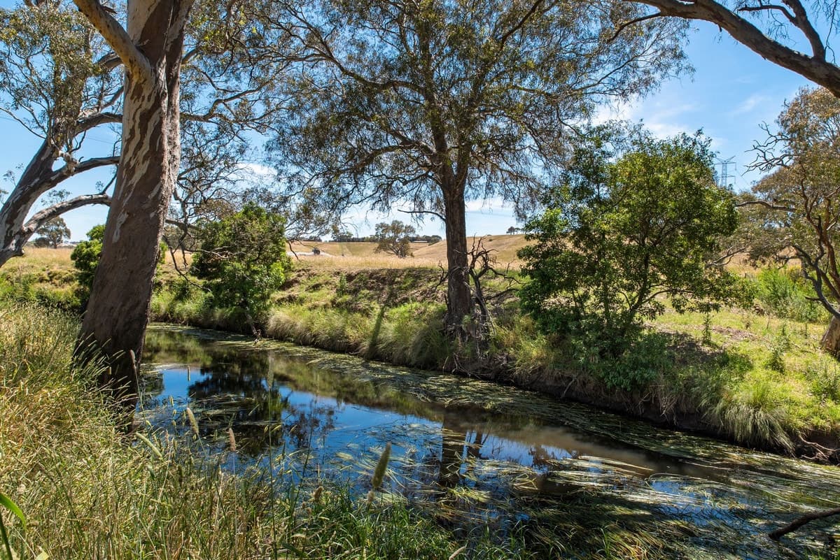 56 Buchter Road, Batesford, VIC, Batesford - Thumbnail 4