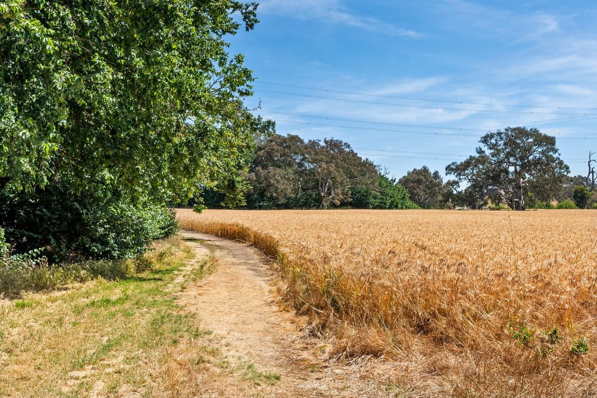 56 Buchter Road, Batesford, VIC, Batesford - Thumbnail 7