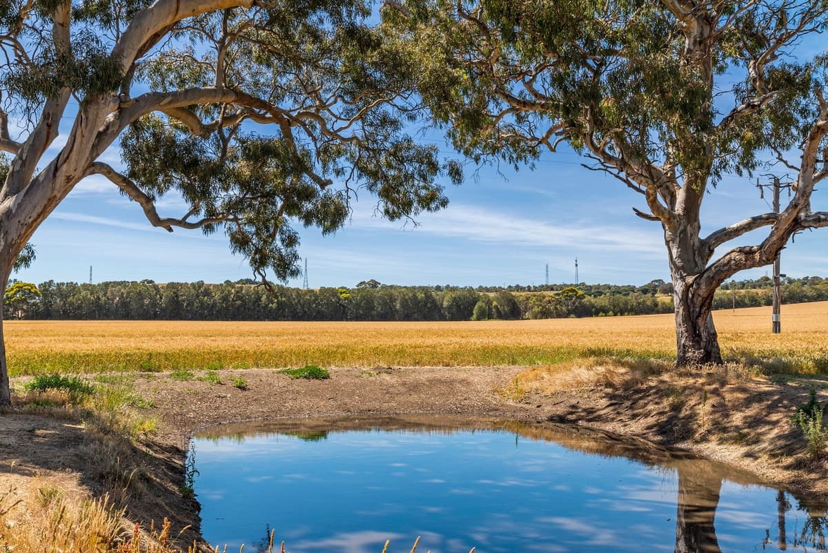 56 Buchter Road, Batesford, VIC, Batesford - Thumbnail 8