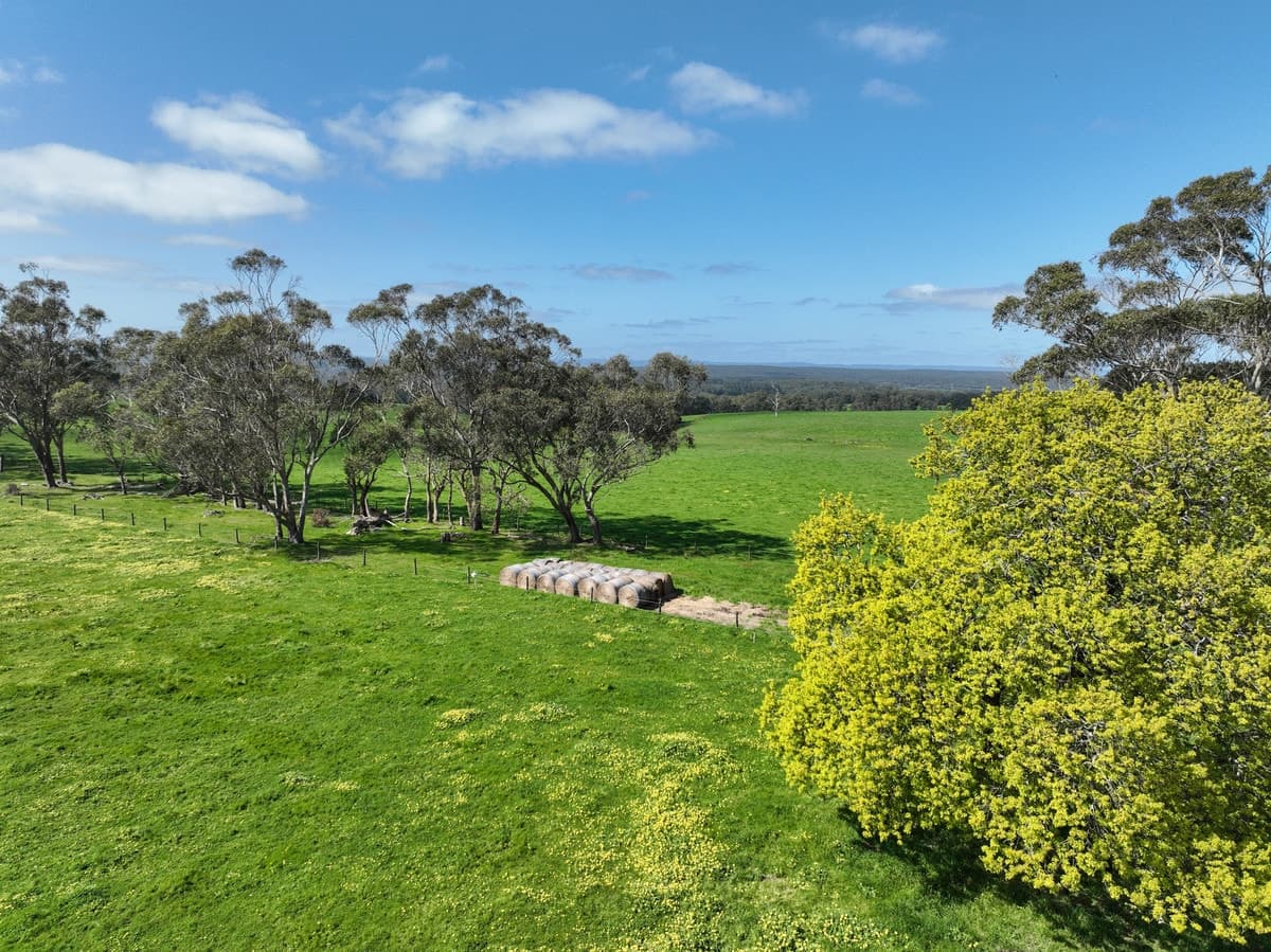 125 Rankins Road, Irrewillipe, VIC, Irrewillipe - Thumbnail 3