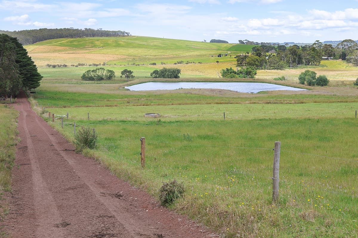 Guys Road, Cooriemungle, VIC, Cooriemungle - Thumbnail 5