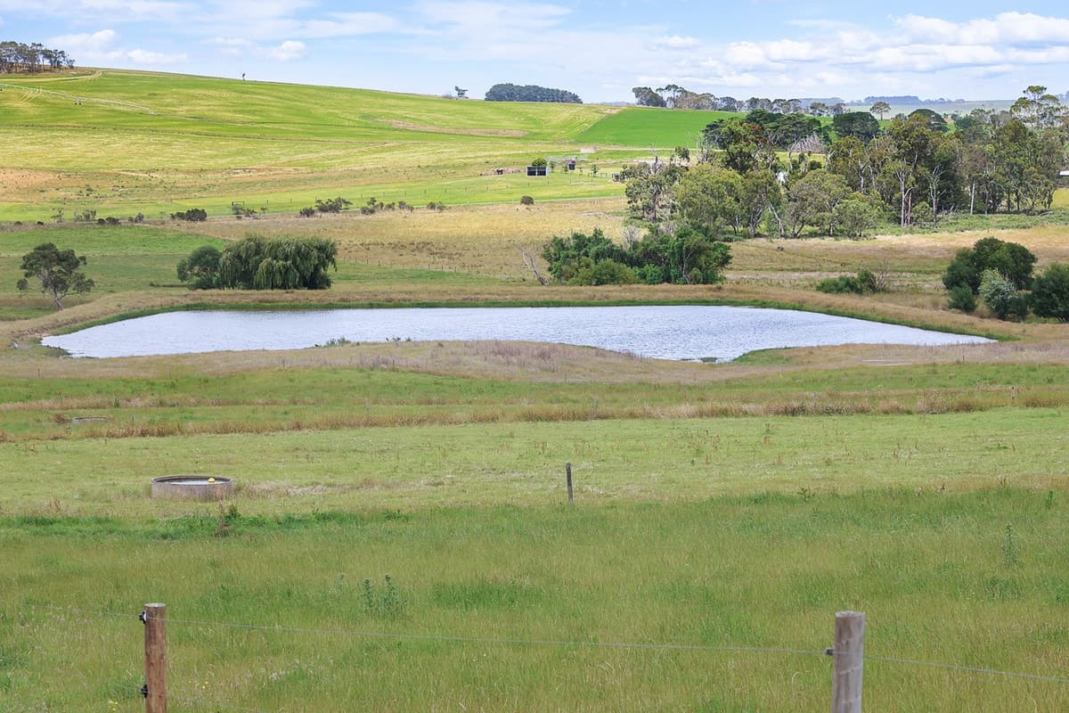 Guys Road, Cooriemungle, VIC, Cooriemungle - Thumbnail 7