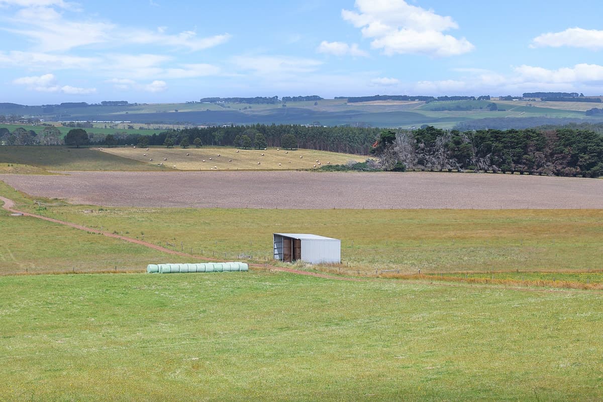 Guys Road, Cooriemungle, VIC, Cooriemungle - Thumbnail 8