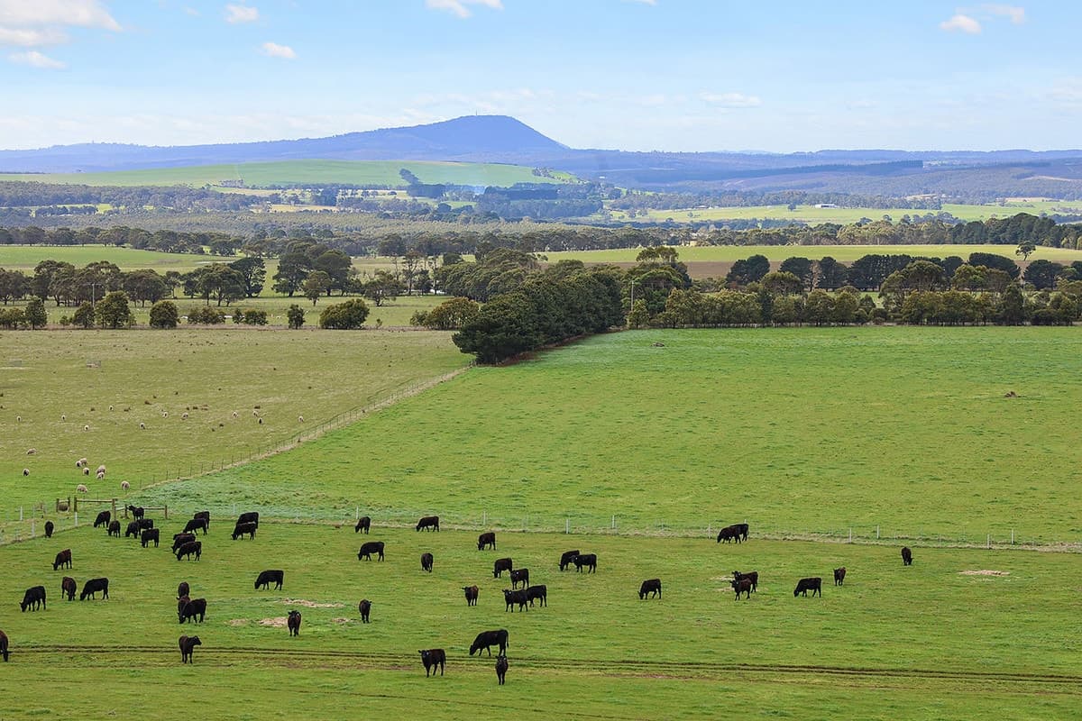 932 Mount Mercer-Dereel Road, Mount Mercer, VIC, Mount Mercer - Thumbnail 3