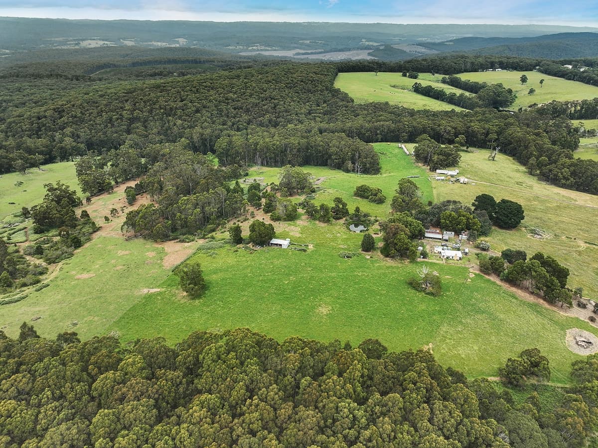 765 Colac-Lavers Hill Road, Barongarook, VIC, Barongarook - Thumbnail 2