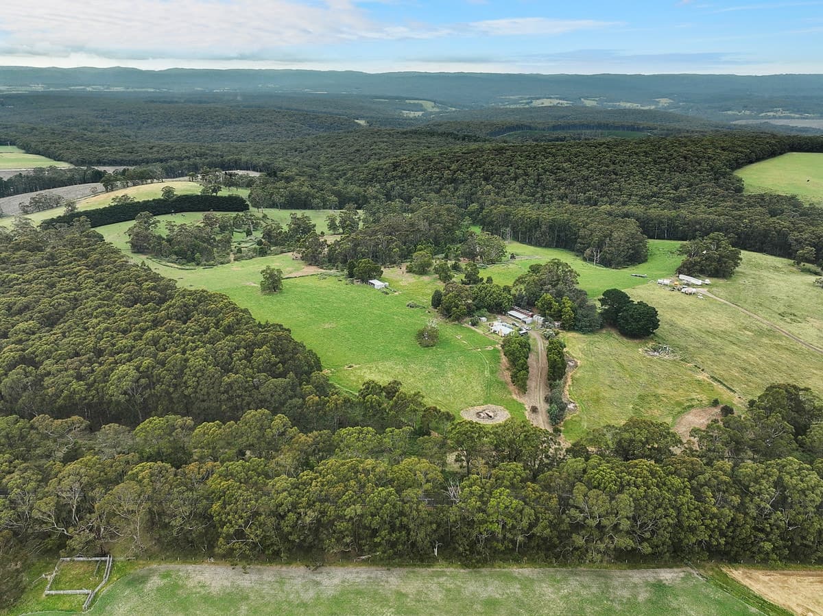 765 Colac-Lavers Hill Road, Barongarook, VIC, Barongarook - Thumbnail 3