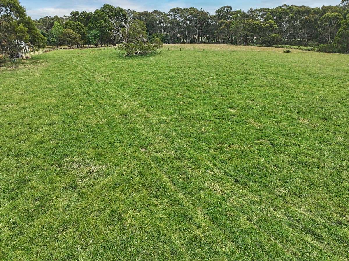 765 Colac-Lavers Hill Road, Barongarook, VIC, Barongarook - Thumbnail 4