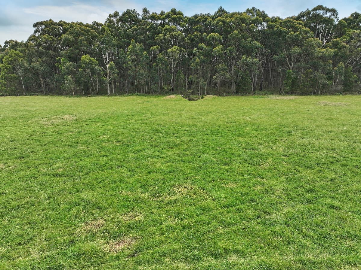 765 Colac-Lavers Hill Road, Barongarook, VIC, Barongarook - Thumbnail 5