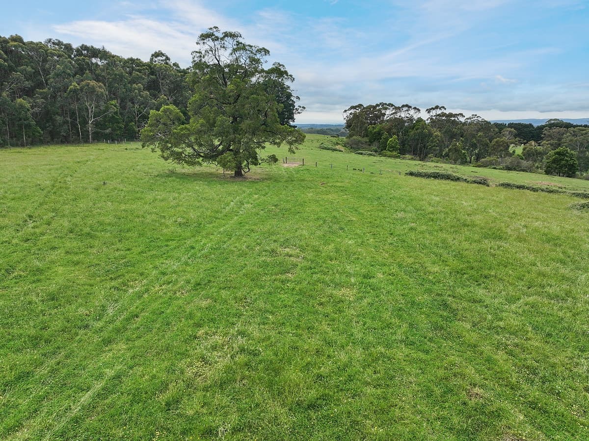 765 Colac-Lavers Hill Road, Barongarook, VIC, Barongarook - Thumbnail 6