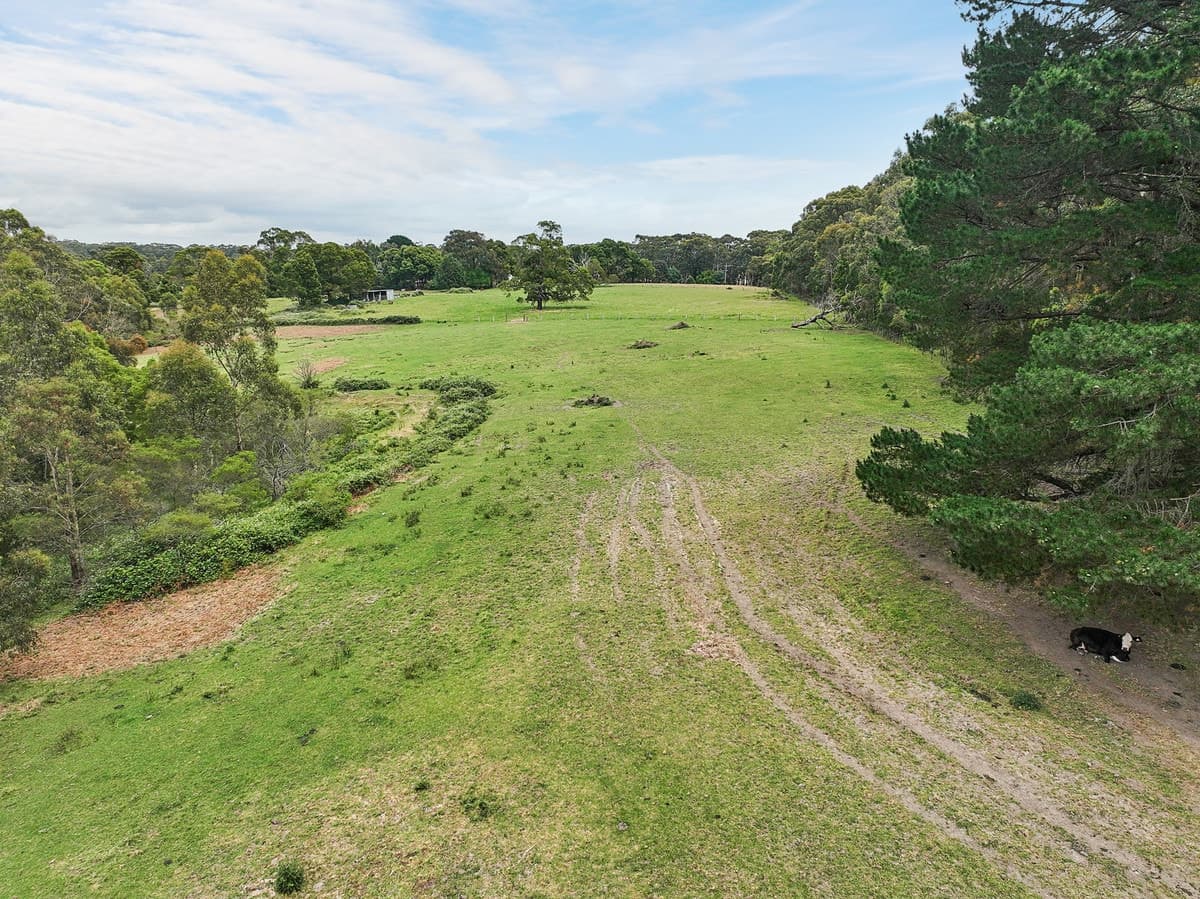 765 Colac-Lavers Hill Road, Barongarook, VIC, Barongarook - Thumbnail 7