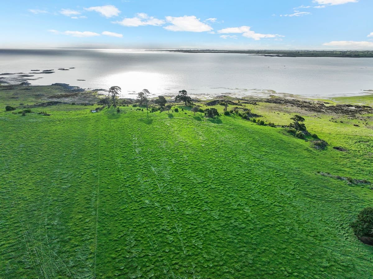 845 Nalangil Road, Corunnun, VIC, Corunnun - Thumbnail 3