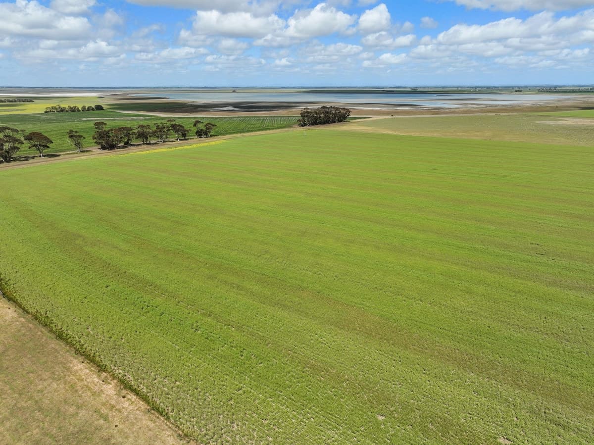 Foxhow-Cressy Road, Duverney, VIC, Duverney - Thumbnail 5