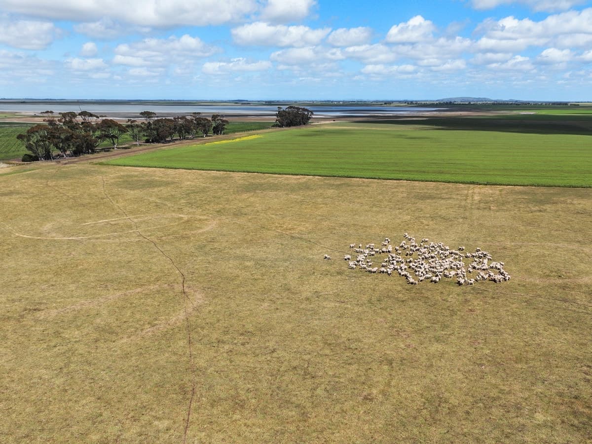 Foxhow-Cressy Road, Duverney, VIC, Duverney - Thumbnail 6
