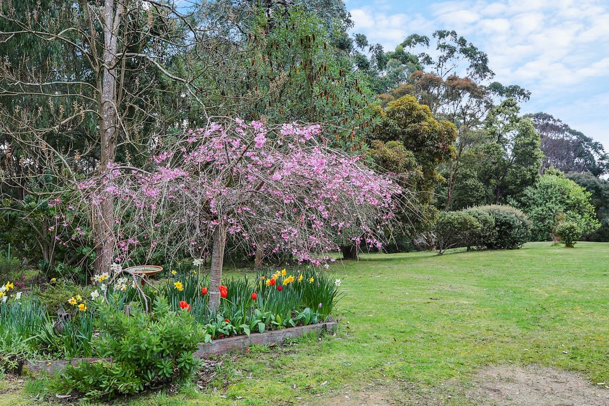 135 Bushbys Road, Barongarook, VIC, Barongarook - Thumbnail 3