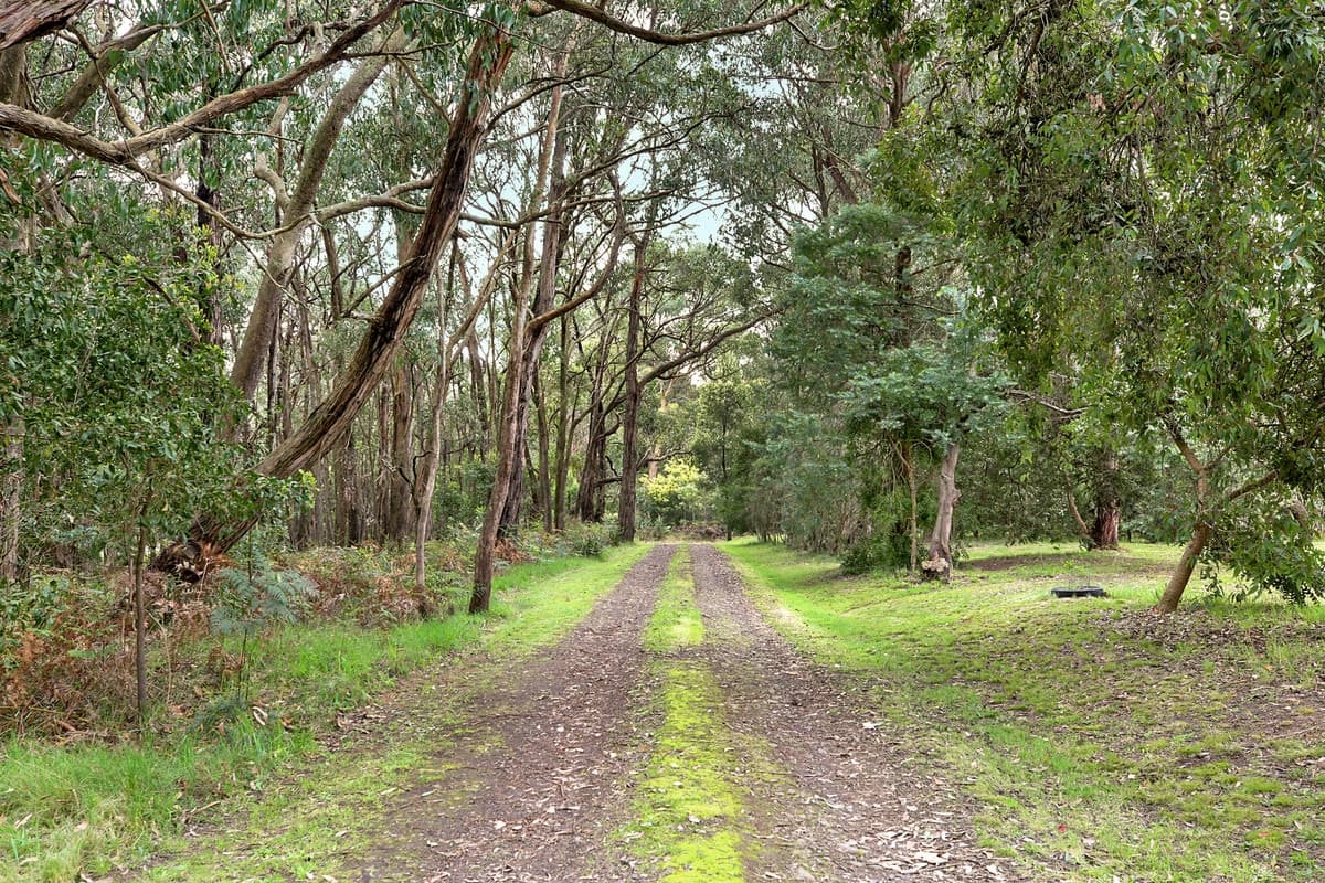135 Bushbys Road, Barongarook, VIC, Barongarook - Thumbnail 5