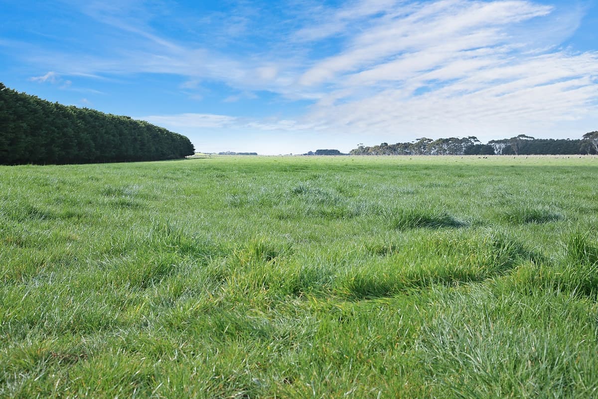 1105 Warrowie Road, Irrewarra, VIC, Irrewarra - Thumbnail 2