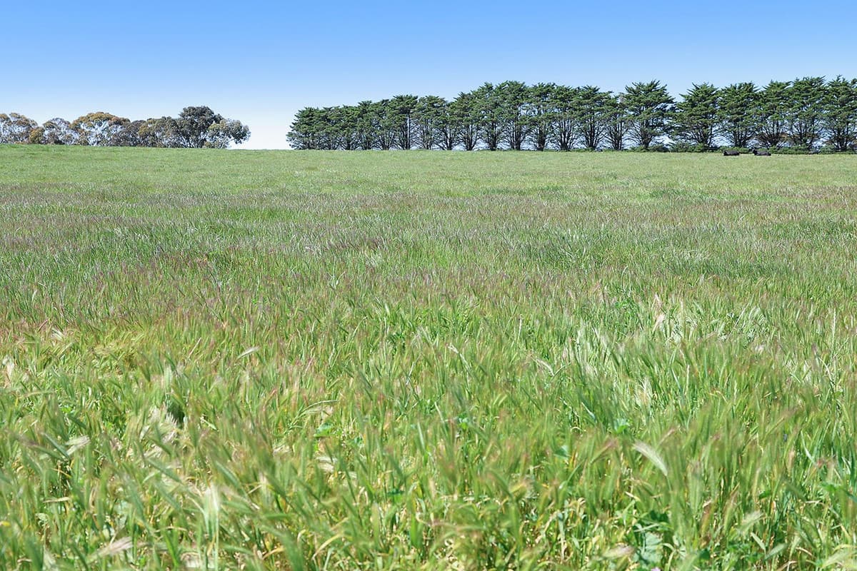 390 Normans Road, Beeac, VIC, Beeac - Thumbnail 6