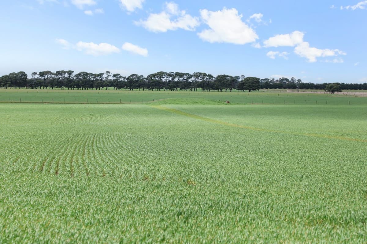 725 Barunah South Road, Wingeel, VIC, Wingeel - Thumbnail 4