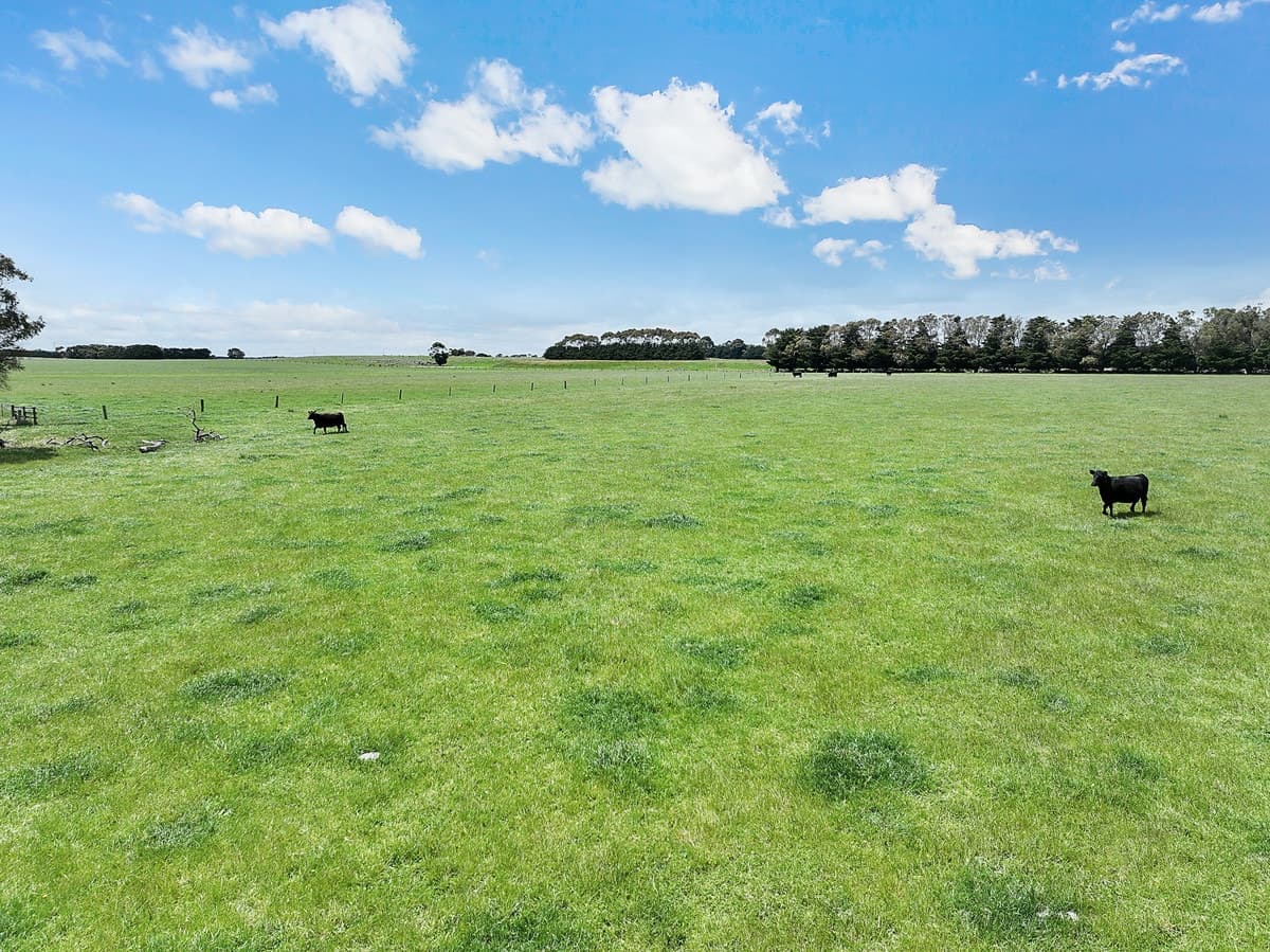 4540 Princes Highway, Birregurra, VIC, Birregurra - Thumbnail 3