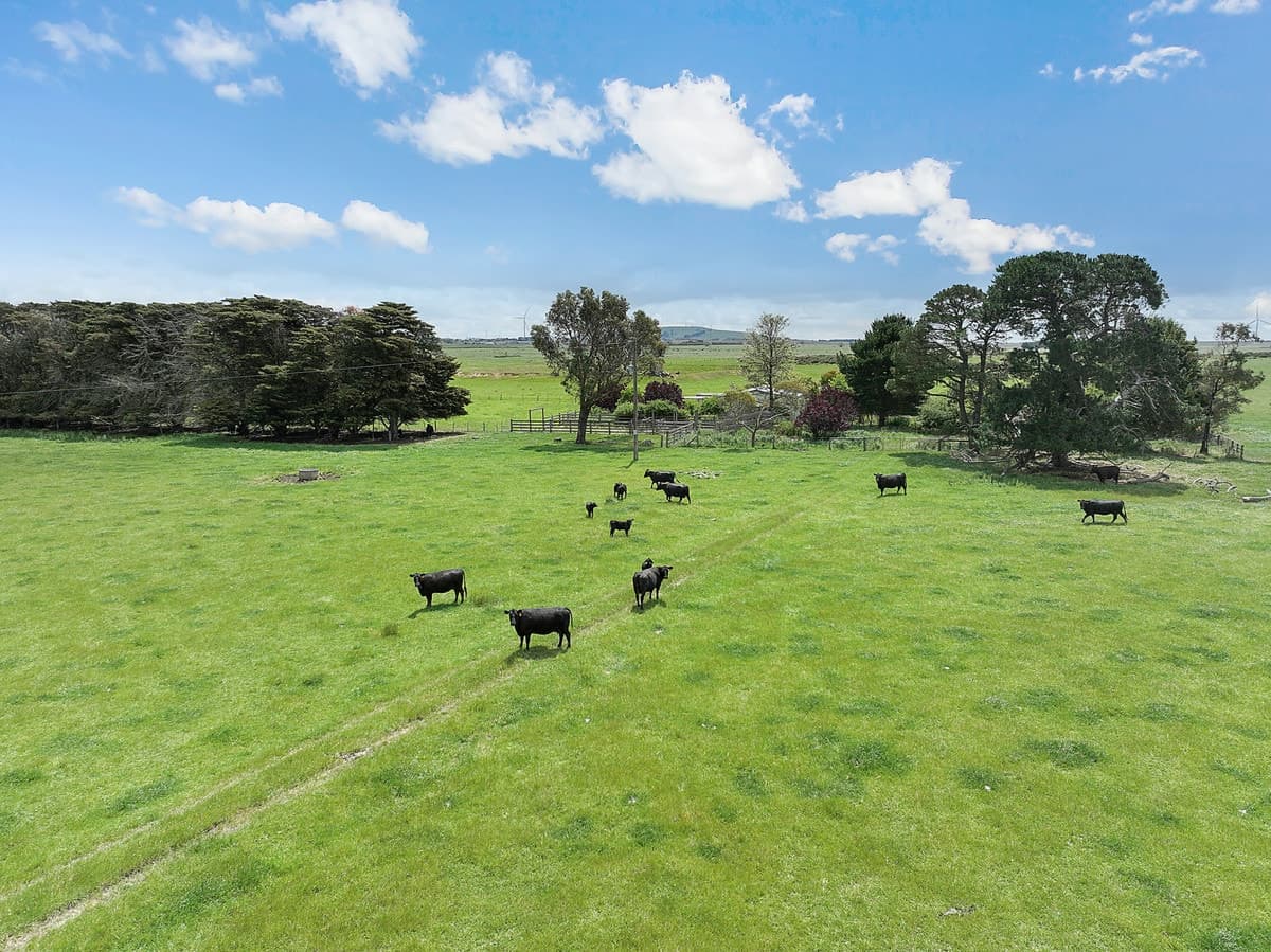 4540 Princes Highway, Birregurra, VIC, Birregurra - Thumbnail 4