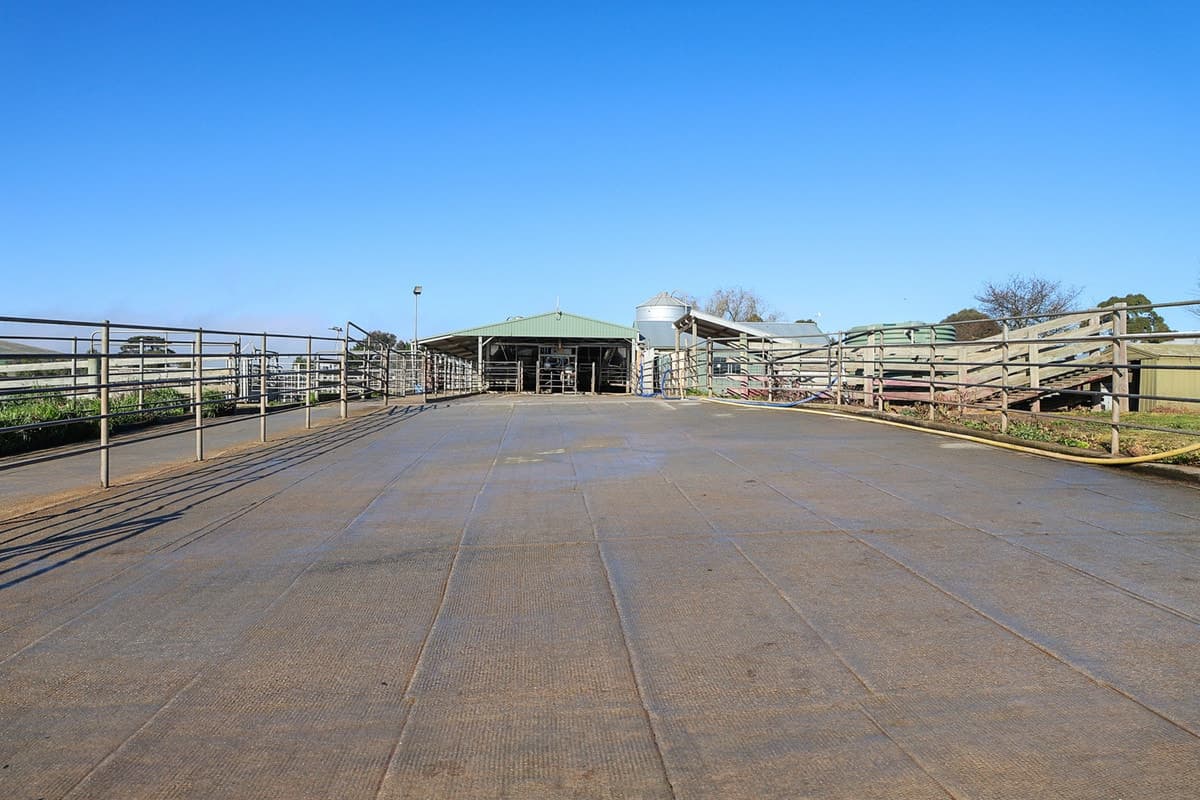 1330 Corangamite Lake Road, Alvie, VIC, Alvie - Thumbnail 5
