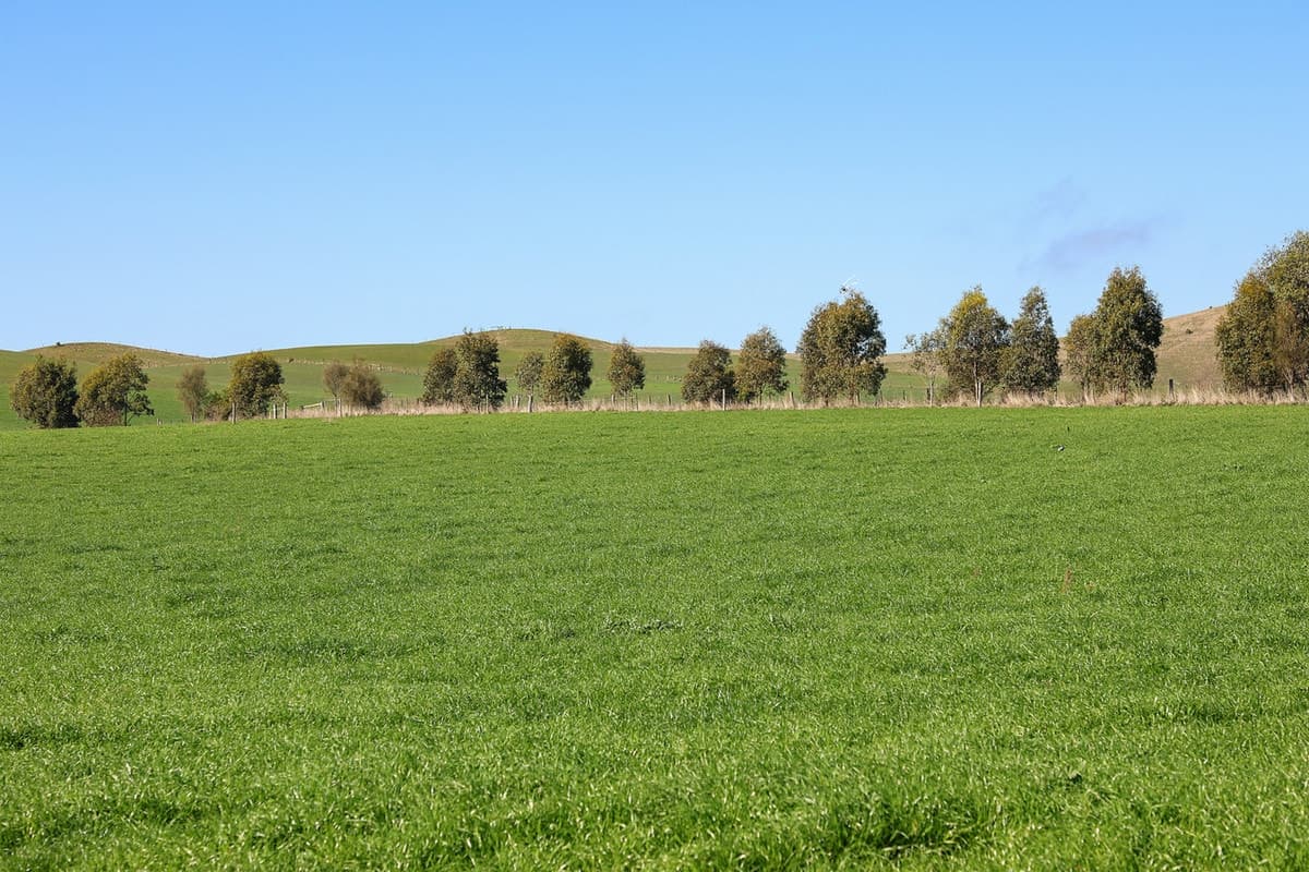 1330 Corangamite Lake Road, Alvie, VIC, Alvie - Thumbnail 7