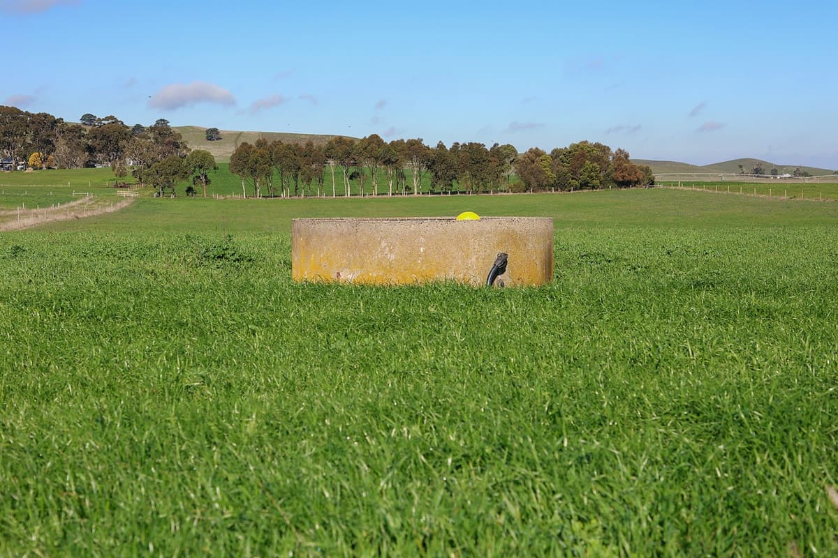 1330 Corangamite Lake Road, Alvie, VIC, Alvie - Thumbnail 8